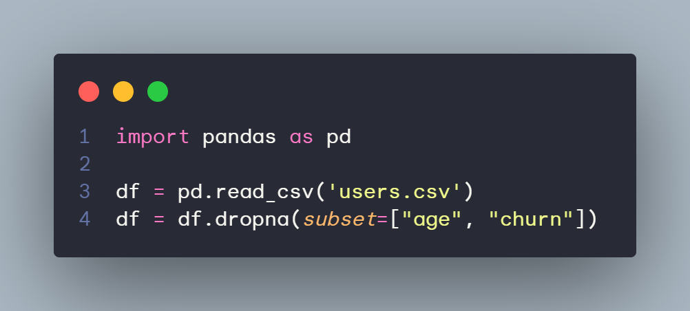 Code Snap Data Collection & Preparation